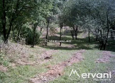 Teren de vanare in Poiana Campina - foto 5