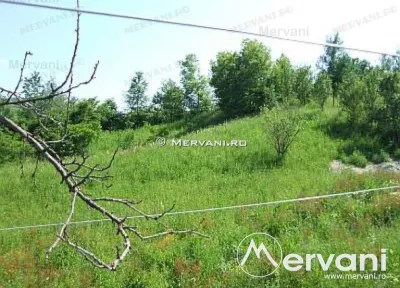 Teren de vanzare in Breaza (zona Clubul de Golf) - Breaza