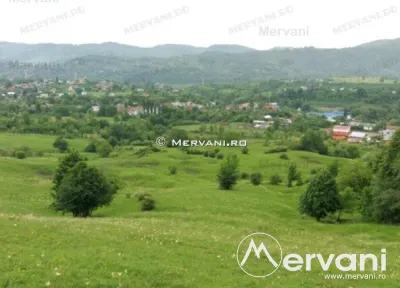 Teren de vanzare in Campina (zona Voila) - Campina
