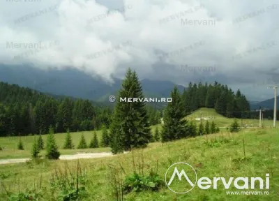 Teren de vanzare in Predeal (zona Forban) - foto 2