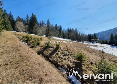 Teren de vanzare in Predeal (zona Malul Ursului) - foto 7