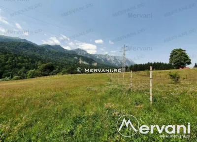Teren Intravilan Sinaia (zona Cumpatu) - foto 5