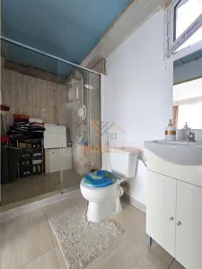 PROPRIETATE MULTIFUNCTIONALA | TEREN 3788 MP | SPALATORIE CAMIOANE + CASA |  DN1/E60 | TINAUD (ALESD) | BIHOR - foto 19