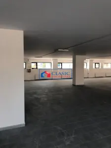 Inchiriere spatiu comercial 612 mp 10 parcari in Dambul Rotund - foto 6