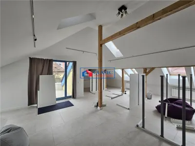 Inchiriere spatiu pentru birouri, casa individuala, zona Andrei Muresanu, Cluj-Napoca - foto 12
