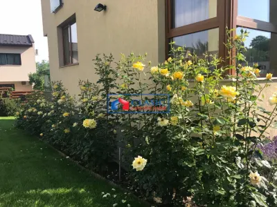Vanzare casa individuala zona Gruia, Cluj-Napoca - foto 4