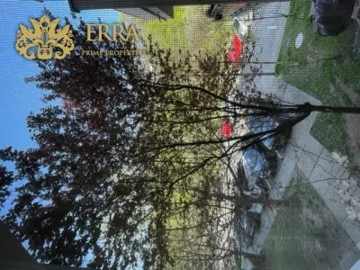 Greenfield. 3 camere, mobilat - foto 16