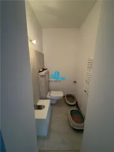 Vanzare casa 3 camere, 2 bai, curte 300 mp, Parc Bazilescu, renovata integral - foto 6