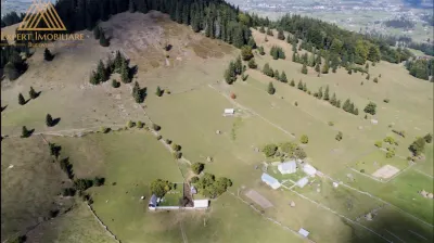 3 Hectare teren in varf de munte  si 2 cabane pe traseul Via Transilvanica - foto 6
