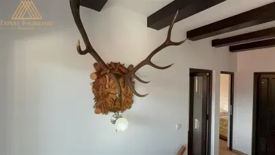 Casa Alex o casa in Bucovina - foto 19