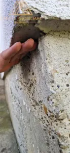 Casa de la tara - foto 7