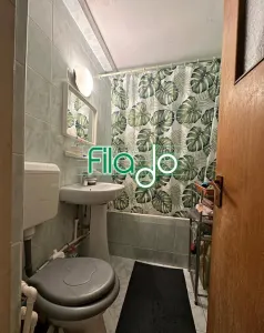Apartament 3 camere Dristor, Camil Ressu - foto 3