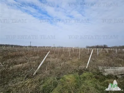 Teren intravilan cu deschidere la DNE, Harsova - foto 4