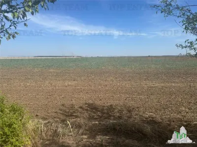 Vanzare teren intravilan construibil, in Branesti-Ilfov, 1330 mp, ideal rezidenta sau investitie, scadere de pret. - Branesti
