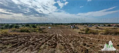 Ferma 3,3ha, din care 2,5ha intravilan, vila 7 camere, D+P+E+M, casa pentru muncitori, grajd animale, livada, culturi porumb si grau, PODISOR/GIURGIU - foto 7