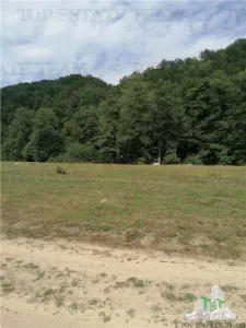 Teren intravilan - Berevoiesti - Arges - foto 3