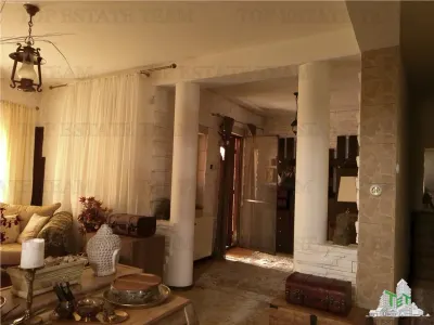 Super afacere, vila cu aspect de conac cu spatii moderne dar si clasice antichizate, orientale sau art-deco avand o curte superba ! - foto 8