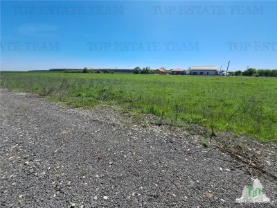 Loturi teren de vanzare Branesti/Vadu Anei - Branesti