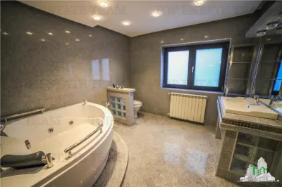 Vila pretabila rezidenta/office Iancu Nicolae - foto 10