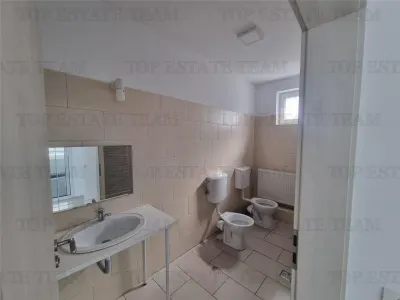 Vila de inchiriat Otopeni-Odai - foto 16