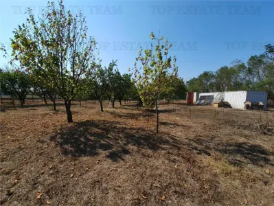 Teren intravilan agricol si teren curti constructii Lot 2 Parcela A326/49 - foto 12