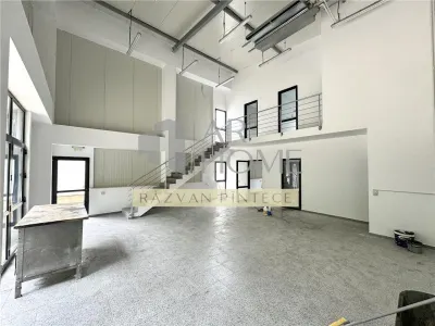 Hala 300 mp si cladire birouri 150 mp Parcul Industrial - foto 8