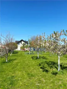 Casa individuala si spatioasa cu 5 camere - teren 1166 mp - Tutora