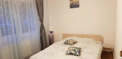 Apartament 2 camere Centrul Civic -CEC Bank,parter,95000 Euro neg - foto 3