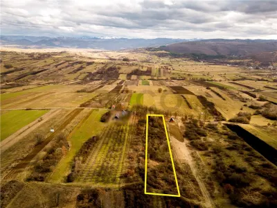 RECO Teren 5361 mp, Vadu Crișului, teren generos - foto 3