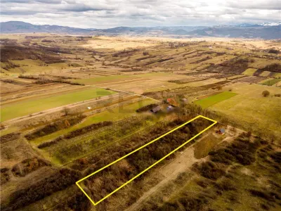 RECO Teren 5361 mp, Vadu Crișului, teren generos - foto 4