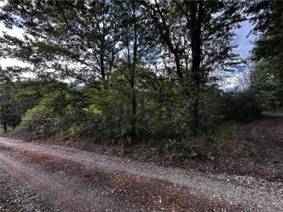 RECO Teren 5361 mp, Vadu Crișului, teren generos - foto 7