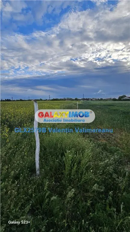 Teren intravilan ideal investitie parcelabil Fundulea COD 251 - foto 2