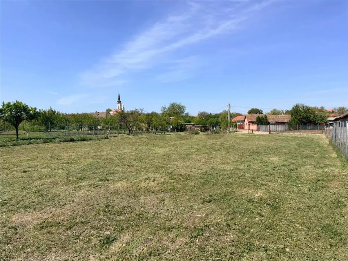 RECO Teren intravilan in Biharia - foto 4