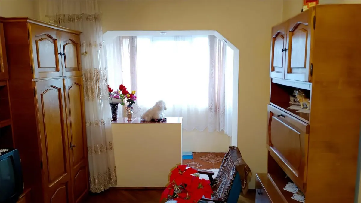 Moldova Noua, Apartament 2 Cam. Semidecomandat - foto 9