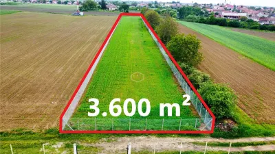 Teren 3.600 m² in Odoreu | 7 km de Satu Mare | 160 m de Principala - foto 5