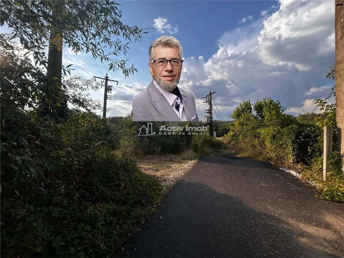 Bocsa Teren 9400 Mp Intravilan - foto 1