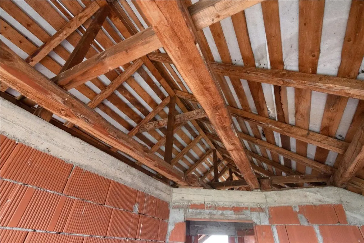 RECO Casa  la rosu Osorhei - foto 17