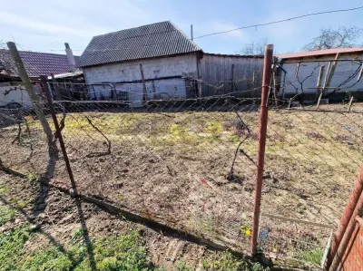 RECO Teren mare cu 2 case in Sabolciu, com. Sacadat - foto 12