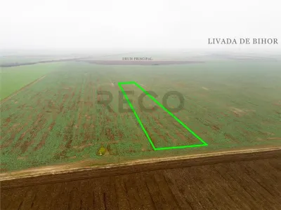 RECO Teren extravilan 5800 mp Livada de Bihor - foto 4