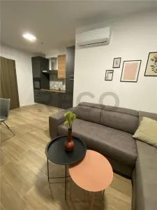 RECO Apartament West Residence, balcon plus terasa mare si loc de parcare privat - foto 3