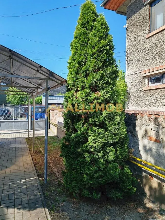 Apartament 4 camere ultracentral, Ploiesti, parter in vila - foto 23