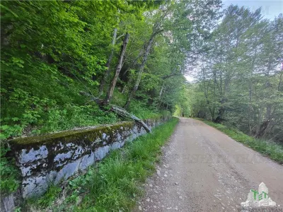 Teren Intravilan 12000 mp, Cascada Urlatoarea, proiect aprobat pentru Resort, langa bazin Piscicol. - foto 3