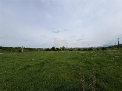 TEREN INTRAVILAN | ZAVOAIE - foto 3