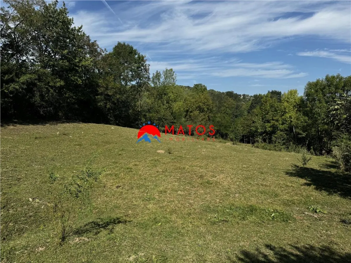 TEREN INTRAVILAN DE VANZARE IN POIANA CAMPINA | 3.526 MP | - foto 1