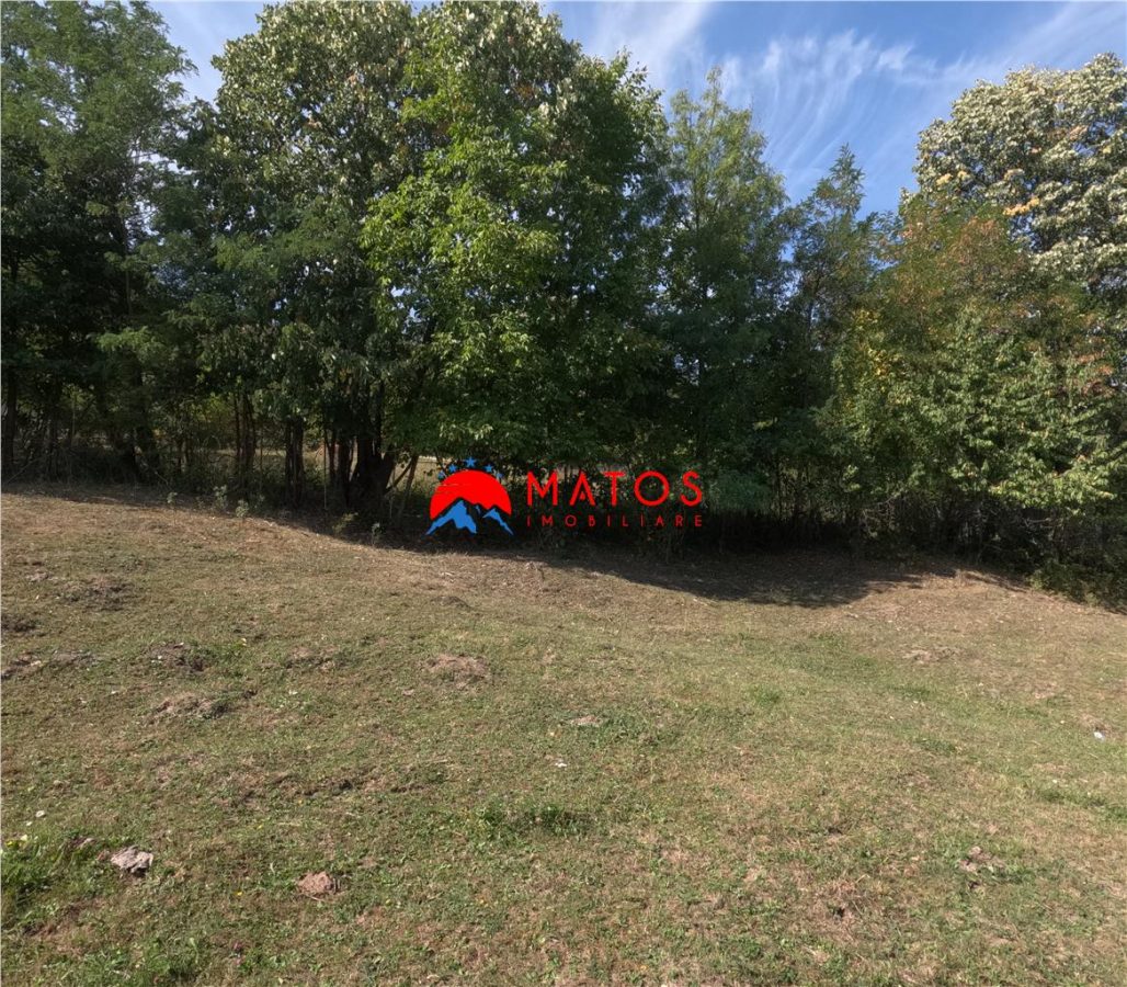 TEREN INTRAVILAN DE VANZARE IN POIANA CAMPINA | 3.526 MP | - foto 11