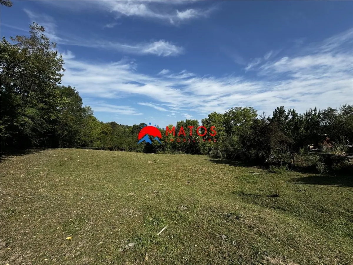 TEREN INTRAVILAN DE VANZARE IN POIANA CAMPINA | 3.526 MP | - foto 3