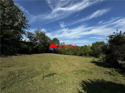 TEREN INTRAVILAN DE VANZARE IN POIANA CAMPINA | 3.526 MP | - foto 5