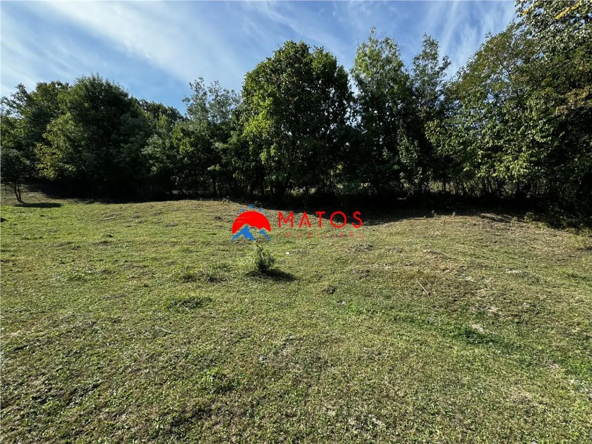 TEREN INTRAVILAN DE VANZARE IN POIANA CAMPINA | 3.526 MP | - foto 6