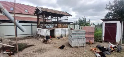 RECO Casa cu teren mare in Diosig - foto 9