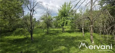Teren de vanzare in Breaza, Nistoresti - foto 11